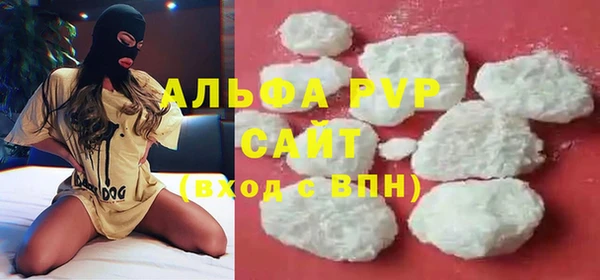 молекула духа Переславль-Залесский