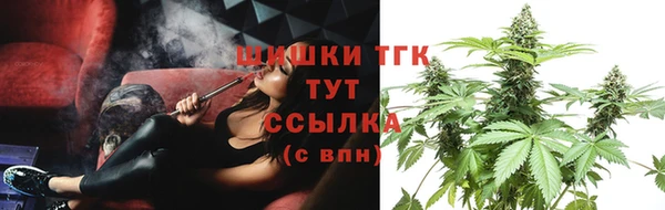 крисы Пестово