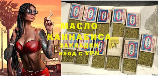 молекула духа Переславль-Залесский