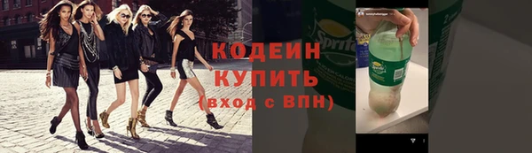 молекула духа Переславль-Залесский