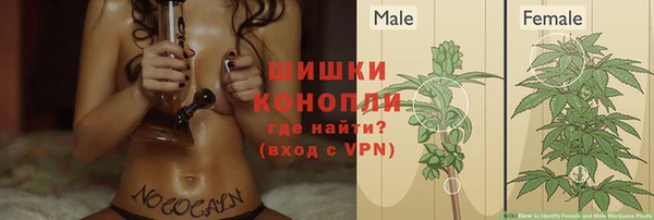 крисы Пестово