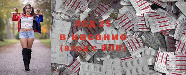 крисы Пестово