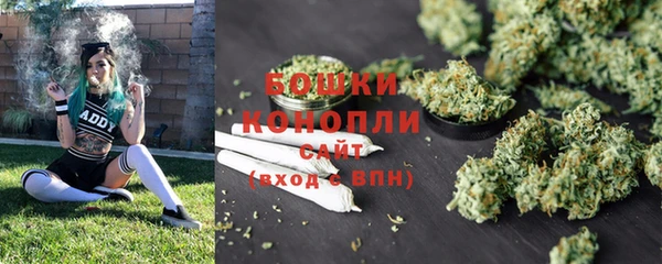 крисы Пестово