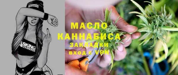 молекула духа Переславль-Залесский